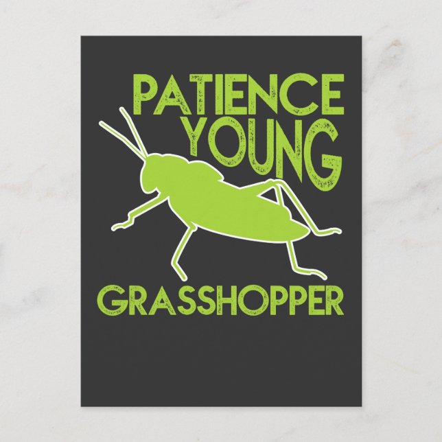 Patience Young Grasshopper Funny Novelty Postcard (Front)