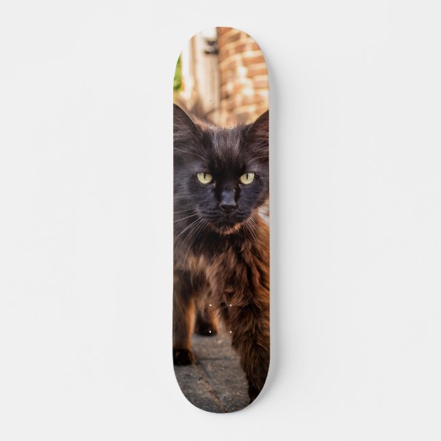 Patineta Gato Negro Walking Cauteloso Skateboard (Front)