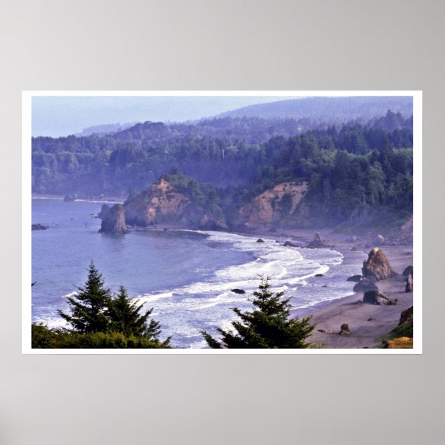 Patrick's Point State Park Poster (Front)