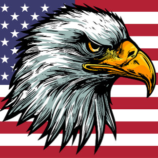 Patriot bald eagle t-shirt