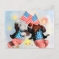 Patriot Bear Celebrate the Fourth of July