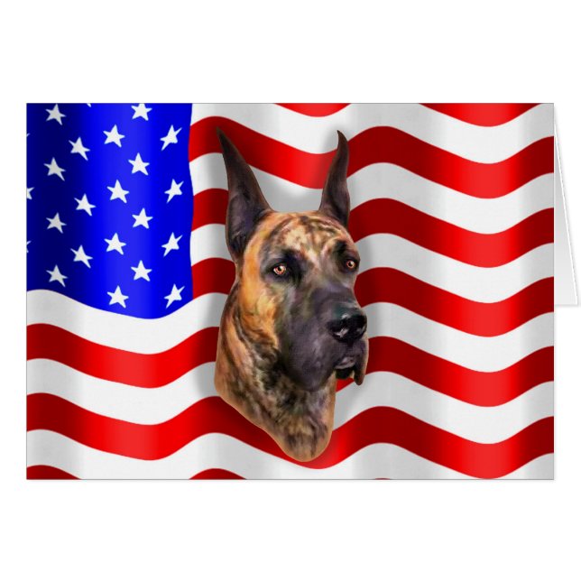 Patriot Dane Brindle (Front Horizontal)