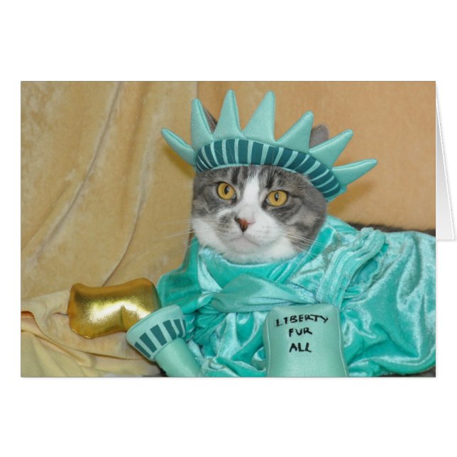 Patriotic 4th of July Grey Tabby Cat Card (Front Horizontal)