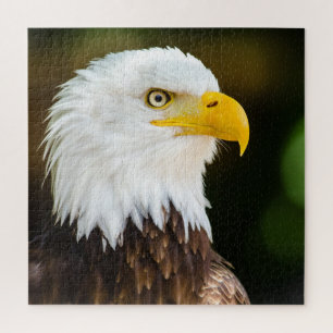 Patriotic Adult American Bald Eagle Jigsaw Puzzle