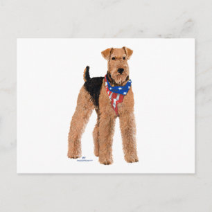 Patriotic Airedale Terrier Postcard