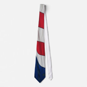 Patriotic American Flag Neck Tie