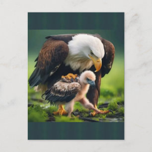 Patriotic Bald Eagle Father’s Day Wildlife Gift Holiday Postcard