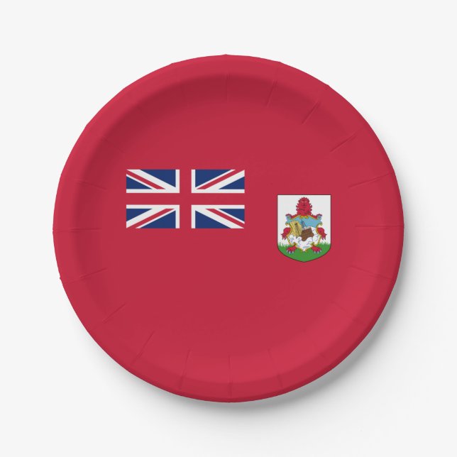 Patriotic Bermuda Flag Paper Plate (Front)