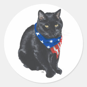 Patriotic Black Cat Classic Round Sticker