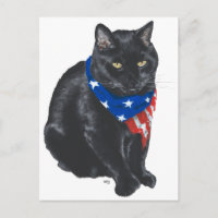 Patriotic Black Cat