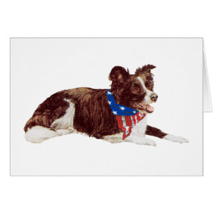 Patriotic Border Collies