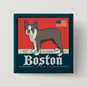 Patriotic   Boston Terrier 15 Cm Square Badge