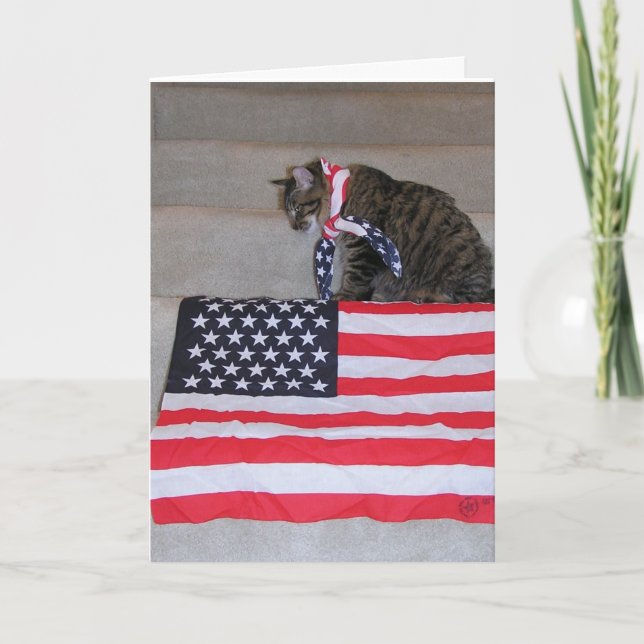 Patriotic Cat Card (Front)