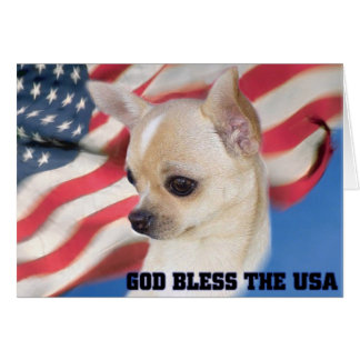 Patriotic Chihuahua card