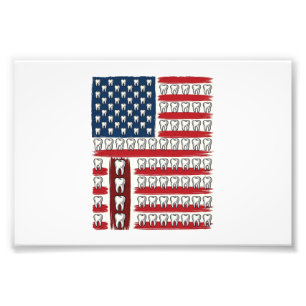 Patriotic Dentist Tooth Flag Photo Print