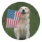 Patriotic Dog