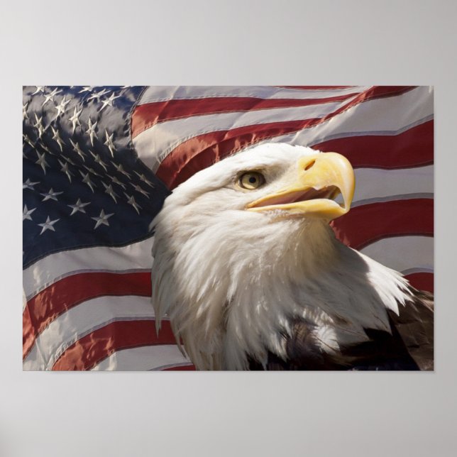 Patriotic Eagle Canvas Print (Front)