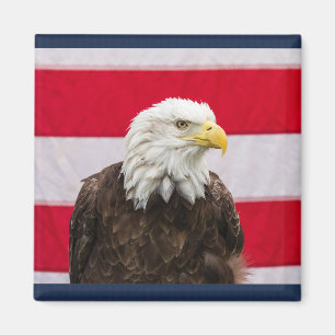 Patriotic Eagle Magnet