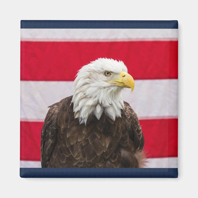Patriotic Eagle Magnet (Front)