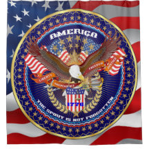 Patriotic Election View About Design