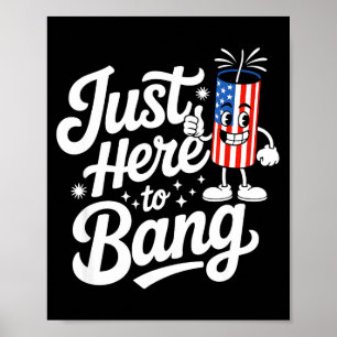 Patriotic firecracker us flag funny 4th of july poster