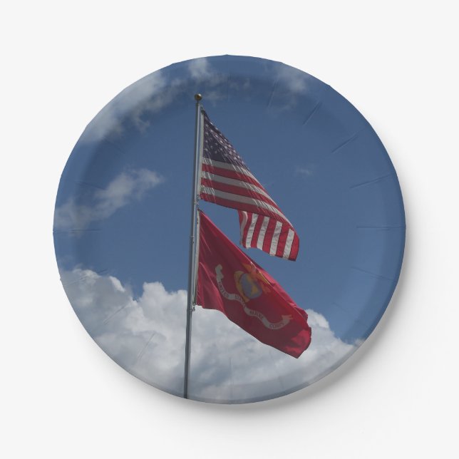 Patriotic flags and a blue sky on a paper plate (Front)