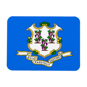Patriotic flexible magnet with Connecticut flag