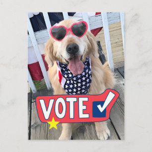 Patriotic Golden Retriever Dog Vote Postcard