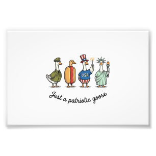 Patriotic Goose Vintage Engraving Funny USA Shirt  Photo Print