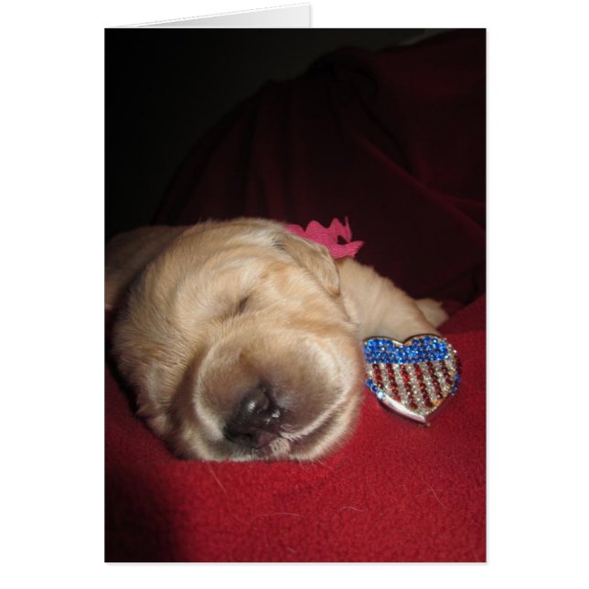 Patriotic Grace (Front)