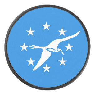 Patriotic hockey puck with flag of Corpus Christi