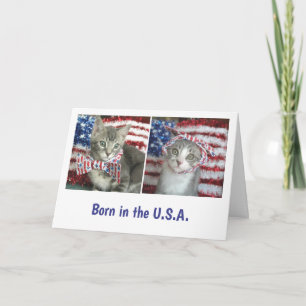 Patriotic kittens card