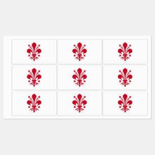 Patriotic labels with flag of Florence