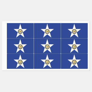 Patriotic labels with flag of Houston City