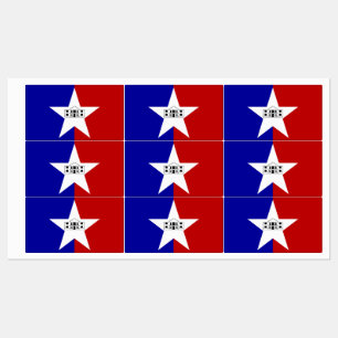 Patriotic labels with flag of San Antonio City