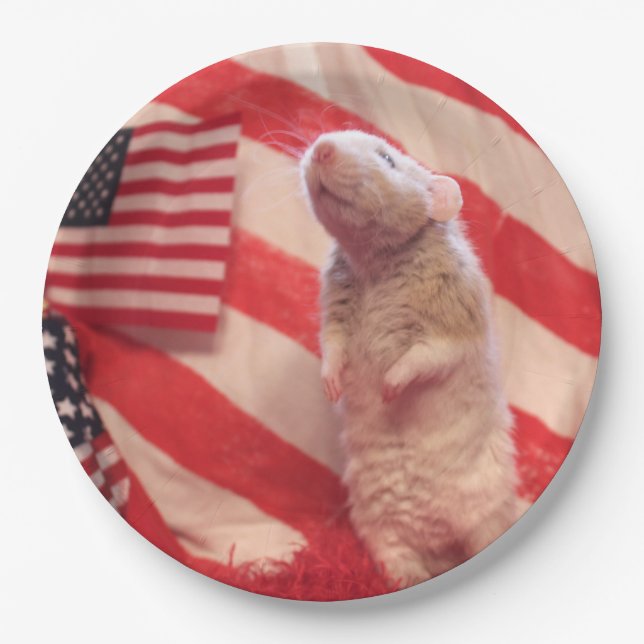 Patriotic Murray Paper Plate (Front)