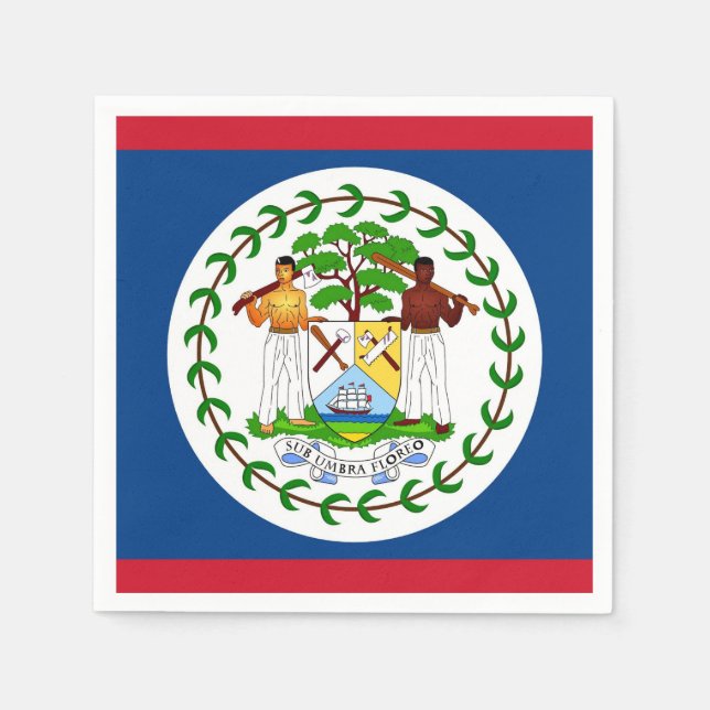 Patriotic paper napkins with flag of Belise (Front)