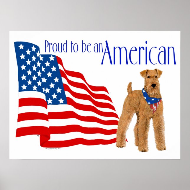 Patriotic Pride in America Poster (Front)
