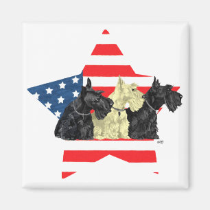 Patriotic Scottish Terriers on Star Magnet