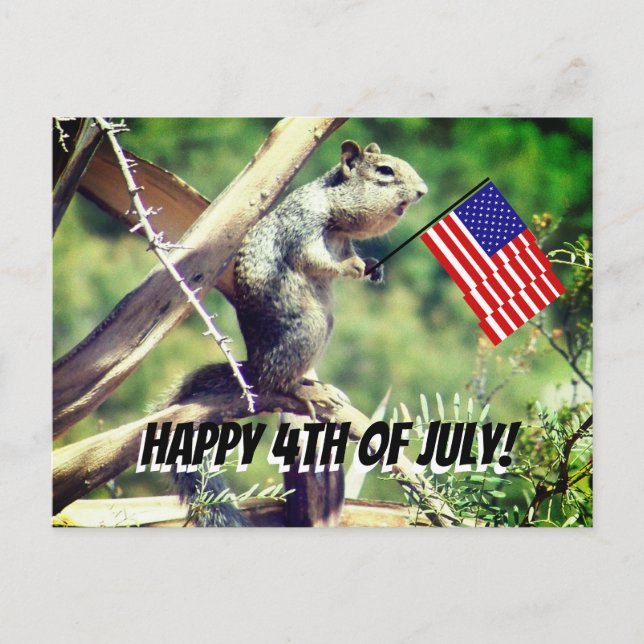 Patriotic Squirrel Postcard (Front)