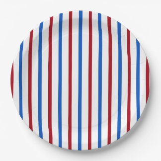 Patriotic Stripe Paper Plate