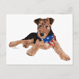 Patriotic Terrier Puppy Postcard