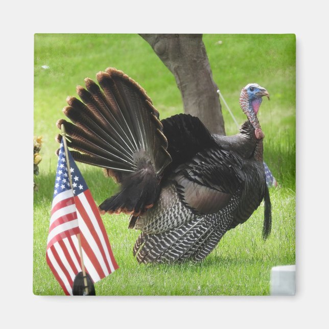Patriotic Turkey Strut Magnet (Front)