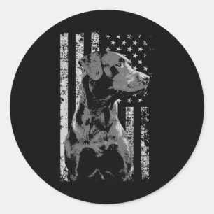 Patriotic Usa Flag Black Labrador Gift For Lab Own Classic Round Sticker