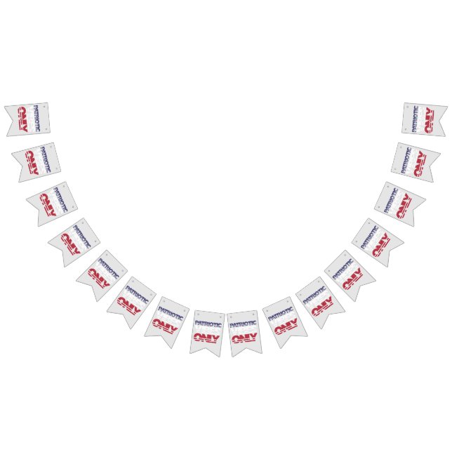 Patriotic Vibes Only Stars and Stripes USA Funny Bunting (All)