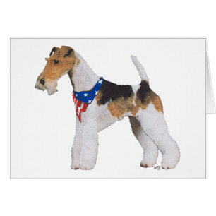 Patriotic Wire Fox Terrier