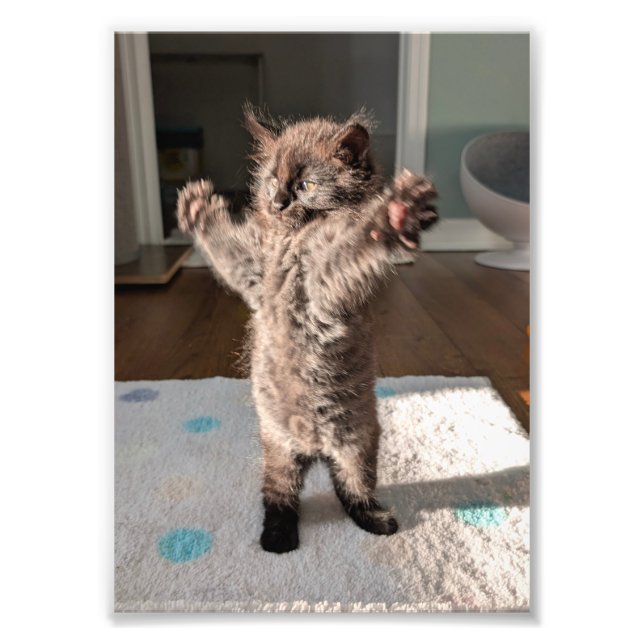 Patsy the bear photo print (Front)