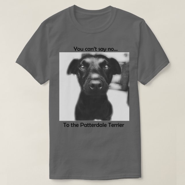 Patterdale Terrier Cant say T-Shirt (Design Front)