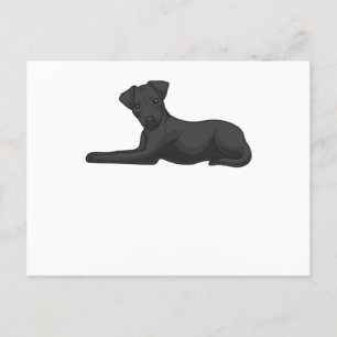 Patterdale Terrier Dog Postcard