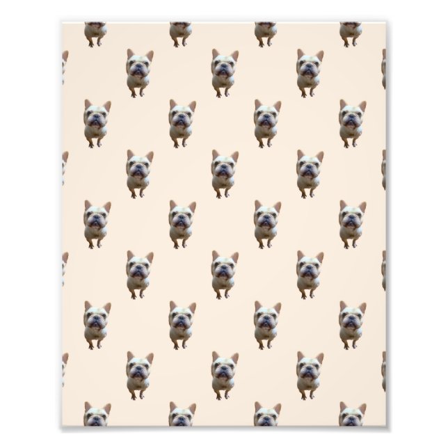 pattern_1_french bulldog_1 photo print (Front)